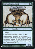 csp-121-shelteringancient