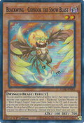dabl-en003-blackwingchinookthesnowblast