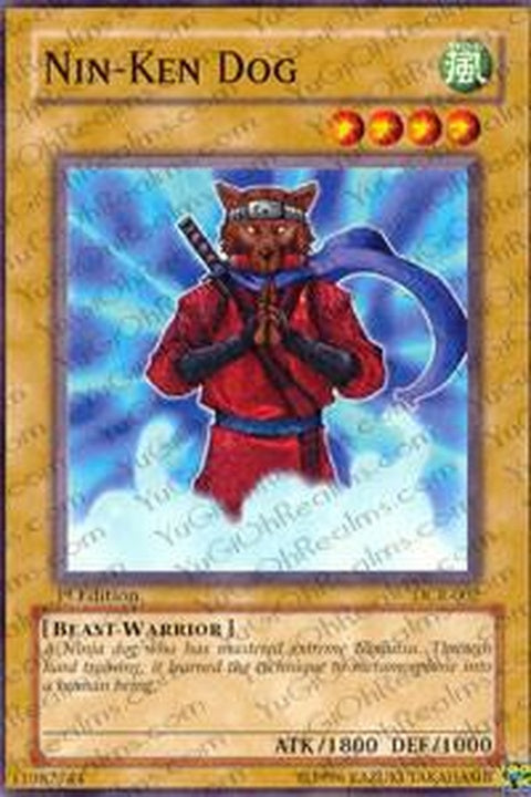 dcr-002-ninkendog