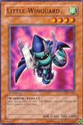 dcr-013-littlewinguard
