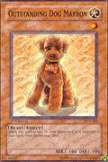 dcr-062-outstandingdogmarron