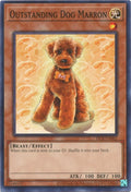 dcr-en062-outstandingdogmarron