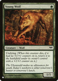 dka-134-youngwolf