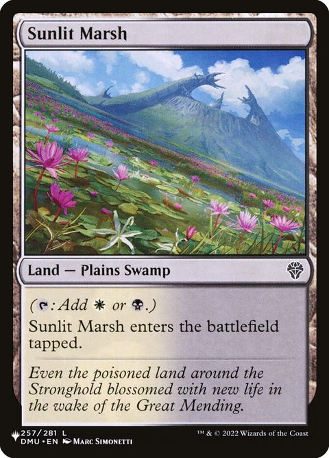 dmu-257-sunlitmarsh