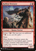 dom-134-keldonoverseer