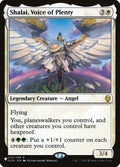 dom-35-shalaivoiceofplenty