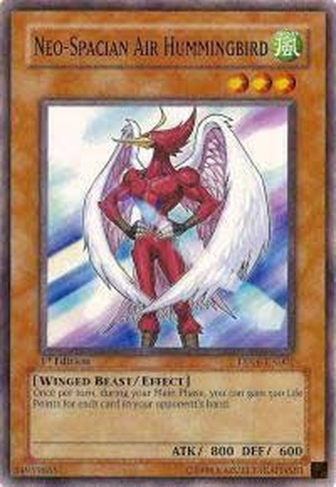 dp06-en001-neospacianairhummingbird