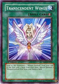 dp1-en018-transcendentwings