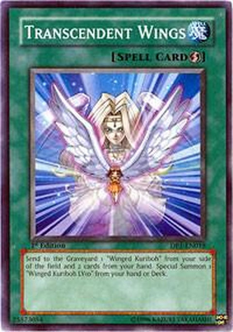 dp1-en018-transcendentwings