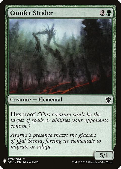 dtk-179-coniferstrider
