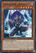 duad-en007-linkslayerignister