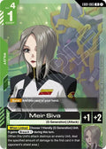 eb01-065-meirsiva