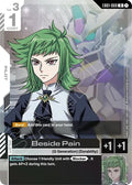 eb01-069-besidepain