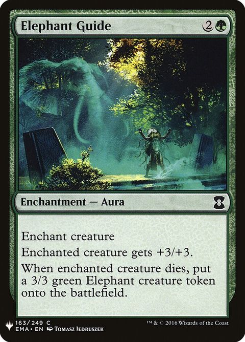 ema-163-elephantguide