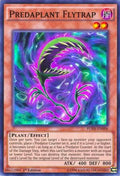 fuen-en006-predaplantflytrap