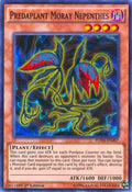 fuen-en007-predaplantmoraynepenthes