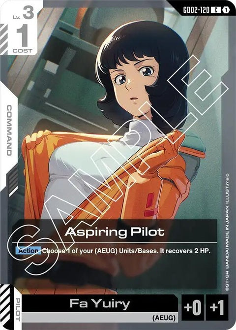 gd02-120-aspiringpilot