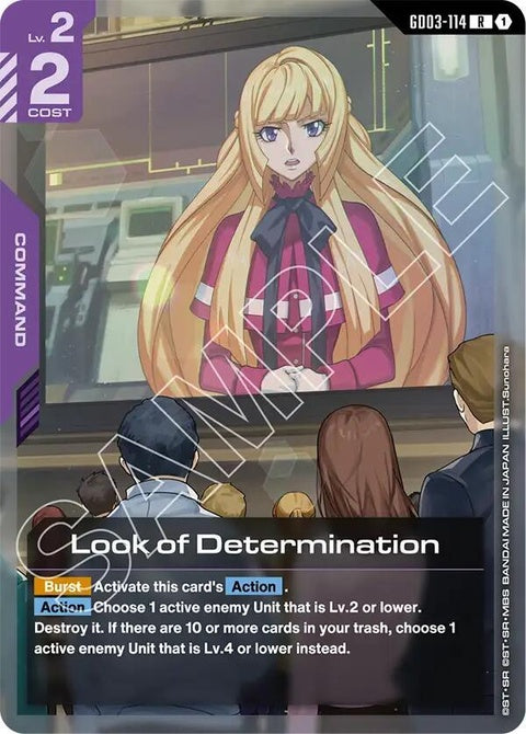 gd03-114-lookofdetermination