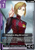 gd04-116-reliablebigbrother