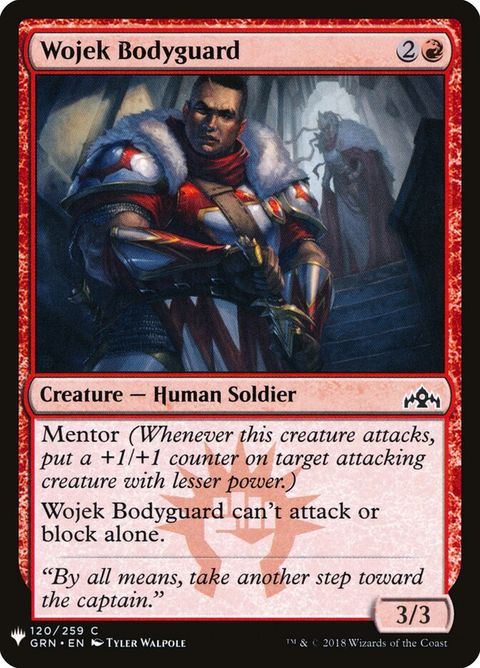 grn-120-wojekbodyguard