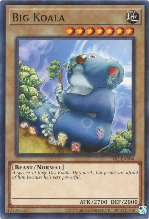 ioc-en004-bigkoala