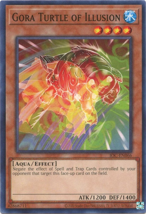 ioc-en066-goraturtleofillusion