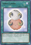 ioc-en092-straylambs