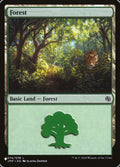 jmp-74-forest