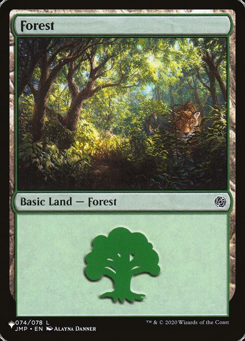 jmp-74-forest