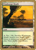 jn328-windsweptheath
