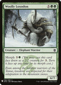ktk-158-woollyloxodon