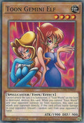 lds1-en059-toongeminielf