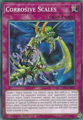 lds1-en074-corrosivescales