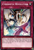 lds2-en037-cyberneticrevolution