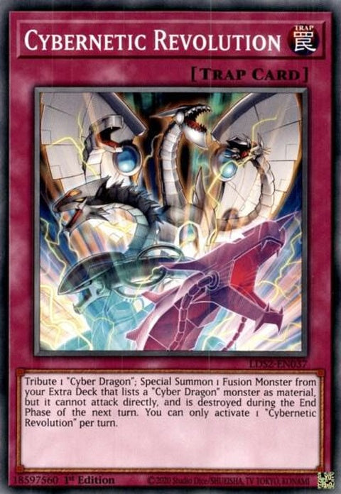 lds2-en037-cyberneticrevolution