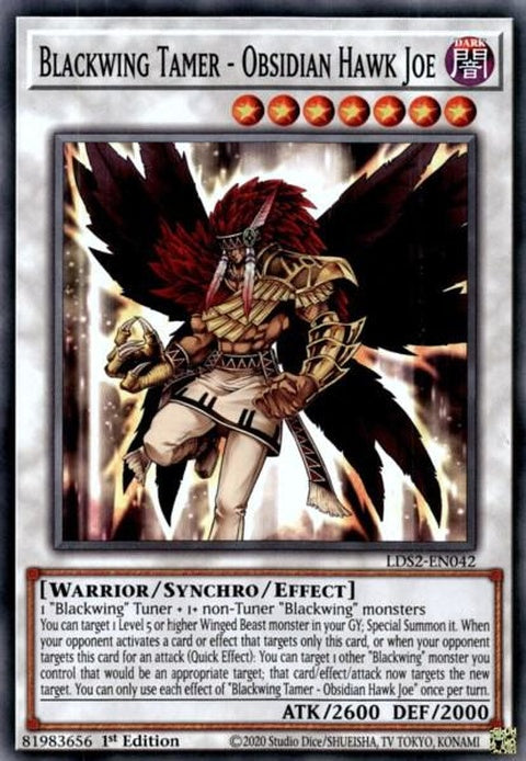 lds2-en042-blackwingtamerobsidianhawkjoe