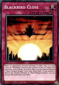 lds2-en046-blackbirdclose
