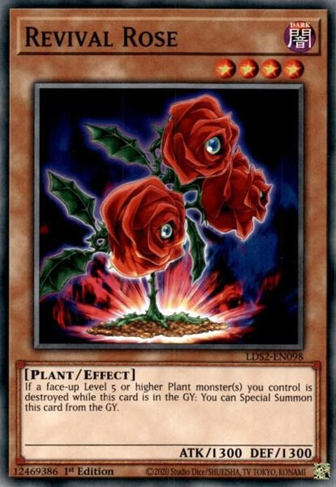 lds2-en098-revivalrose