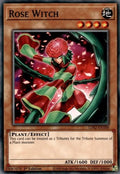 lds2-en100-rosewitch