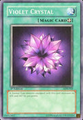 lob-042-violetcrystal