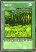 lob-046-forest
