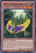 lval-en035-mysticmacrocarpaseed
