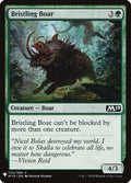 m19-170-bristlingboar