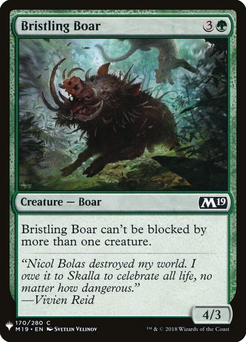 m19-170-bristlingboar