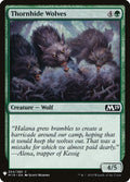 m19-204-thornhidewolves