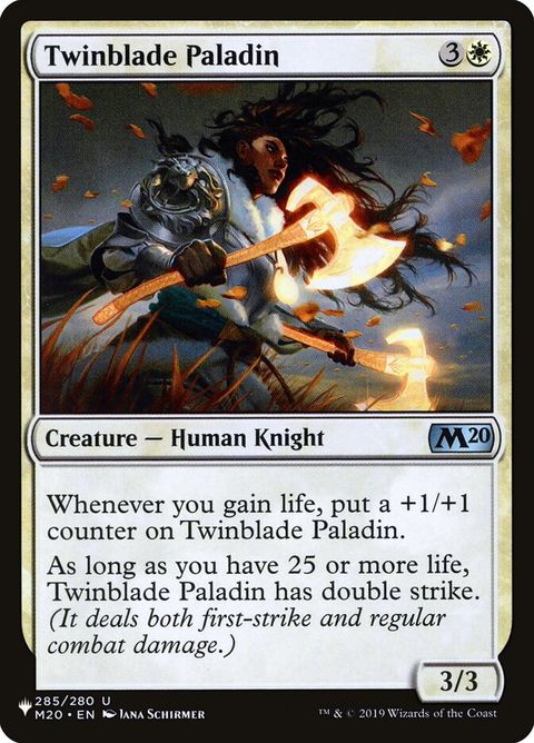 m20-285-twinbladepaladin