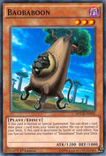 macr-en034-baobaboon