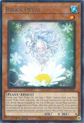 maze-en047-rikkapetal