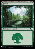 mkm-285-forest