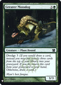mma-146-greatermossdog